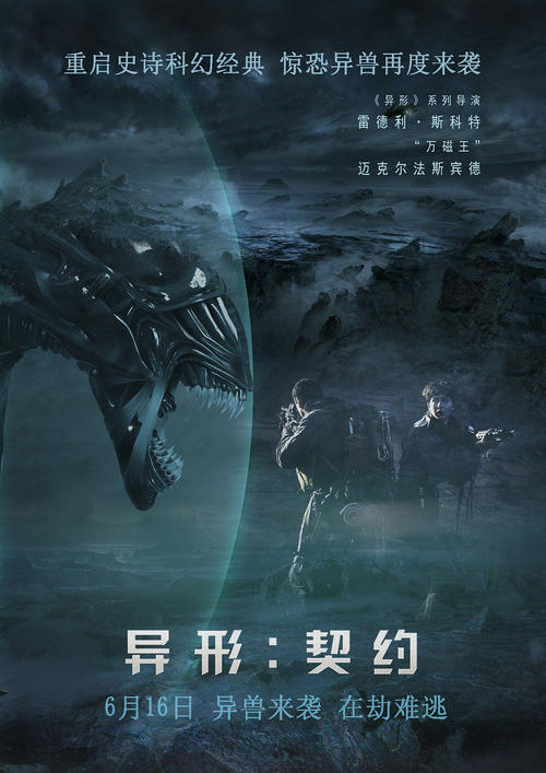 国际驾照相片有什么要求